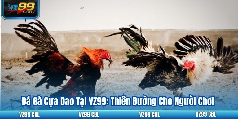 Đá Gà Cựa Dao Tại VZ99: Thiên Đường Cho Người Chơi Đá Gà Cựa Dao Tại VZ99: Thiên Đường Cho Người Chơi
