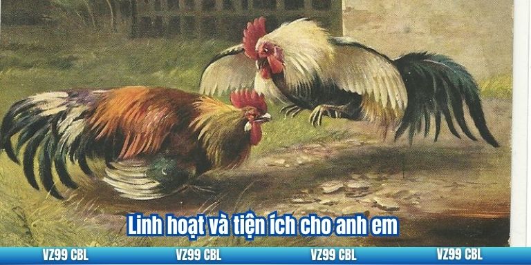 Trực Tiếp Đá Gà C3: Trải Nghiệm Cá Cược Đỉnh Cao Tại VZ99 Linh hoạt và tiện ích cho anh em