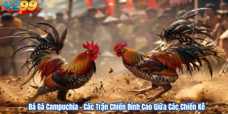 Đá Gà Campuchia VZ99 – Các Trận Chiến Đỉnh Cao Giữa Các Chiến Kê Đá Gà Campuchia – Các Trận Chiến Đỉnh Cao Giữa Các Chiến Kê